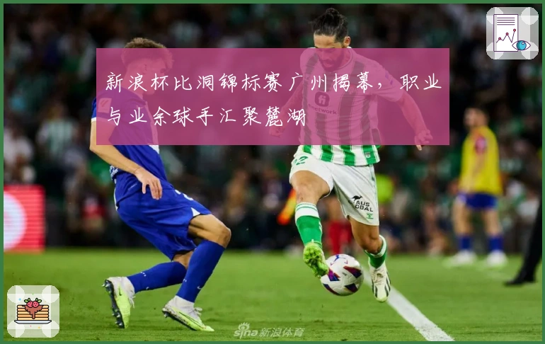 新浪杯比洞锦标赛广州揭幕,职业与业余球手汇聚麓湖
